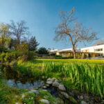 #joselopesfotografia